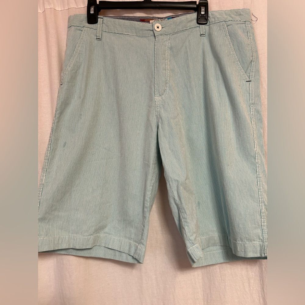 Alexander Julian Colours Mens size 34 shorts green white striped